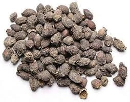 Jamun Seeds (Guthli) - Jambu Beej - Syzygium Cumini - Black Plum - Java Plum - Eugenia Jambolana