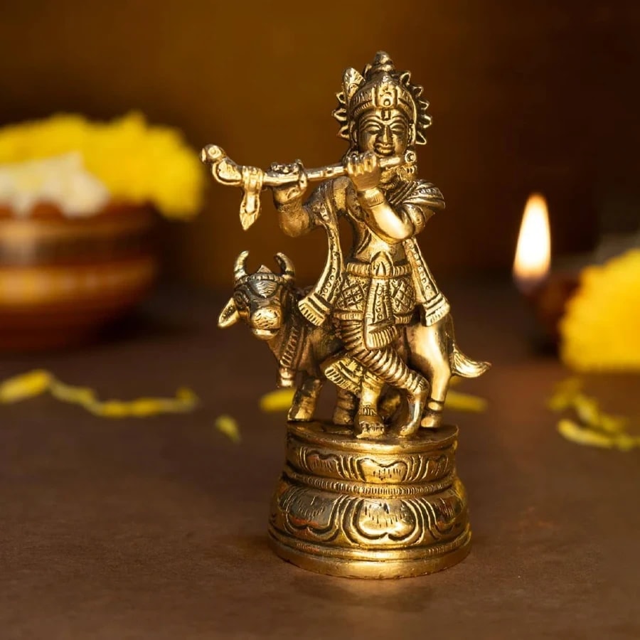 SREE KRISHNA VIGRAHA