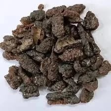 Lakh Pipal - Lakh Peepal - Peepal Gond - Pipal Gond LAKSHMI PEEPAL