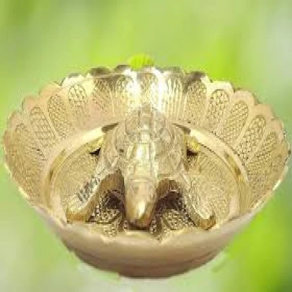 Brass Turtle with Plate for Positive Energy