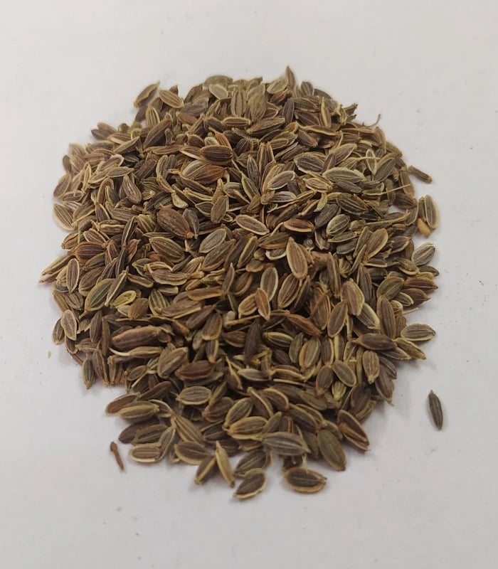 Dill Seed Dried (raw) / Sathakuppai (SHATHAPUSHPA BEEJA)