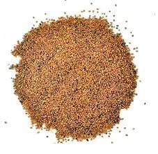 Taramira (Beej) - Arugula Seeds - Safed Sarson - White Sarso - White Mustard - Tarmira Seeds - Brassica Eruca - Eruca Sativa - Rocket Seeds
