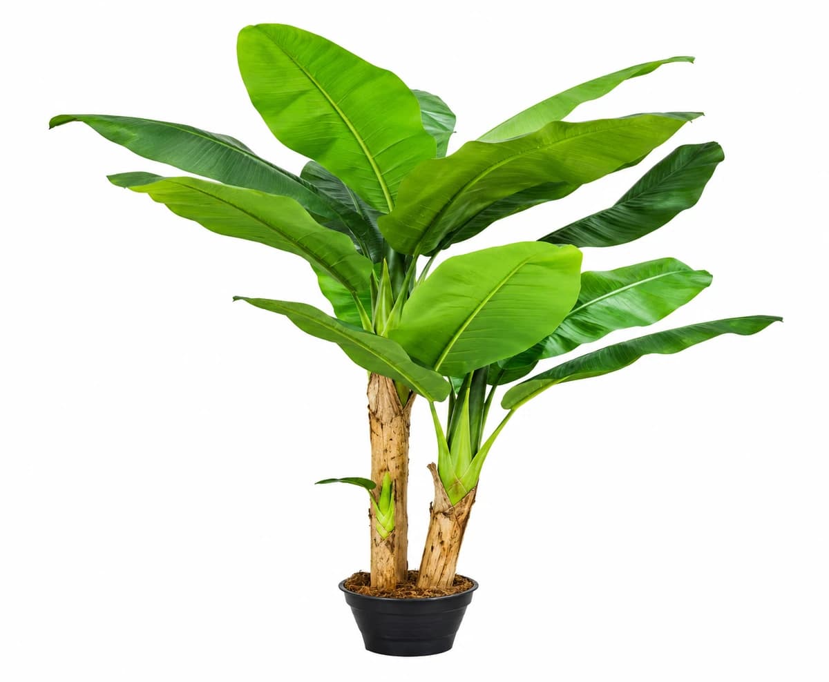varalakshmi items