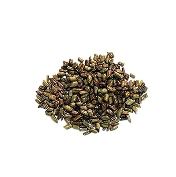 Beej Puwar - Chakramarda Seeds - Chakramard Beej - Pawar Seeds - Panwar Seeds - Cassia Tora Seeds THAGACHE , CHAGACHE